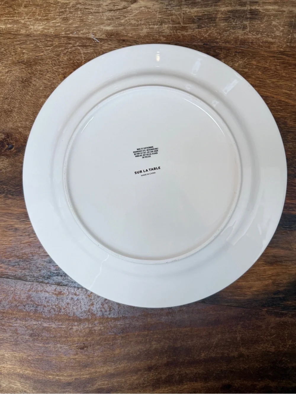 Sur La Table Cream Dinner Plates with Brown Floral Vine Pattern - Set of 3